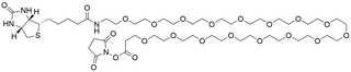 Biotin-PEG16-NHS Ester