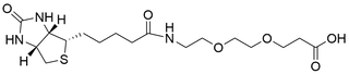 Biotin-PEG2-Acid