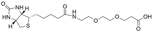 Biotin-PEG2-Acid