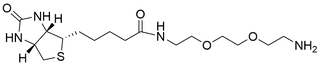 Biotin-PEG2-Amine