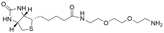 Biotin-PEG2-Amine