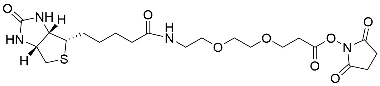 Biotin-PEG2-NHS Ester