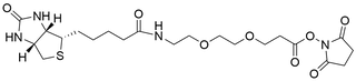 Biotin-PEG2-NHS Ester