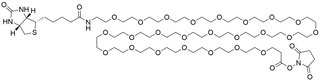 Biotin-PEG24-NHS Ester