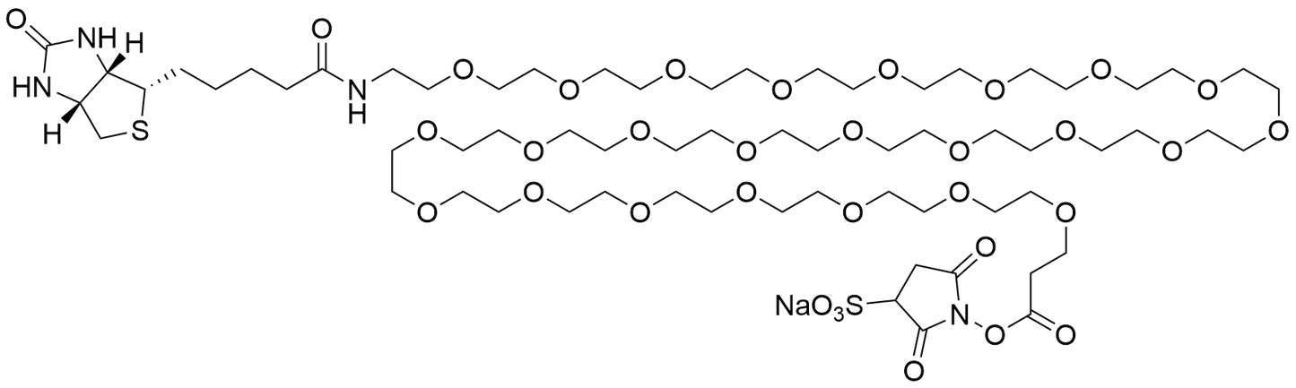Biotin-PEG24-Sulfo NHS Ester