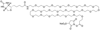 Biotin-PEG24-Sulfo NHS Ester