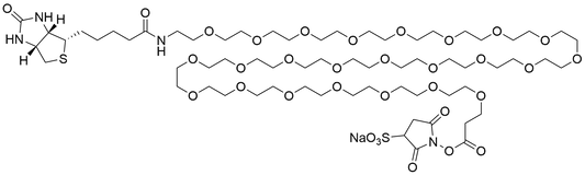 Biotin-PEG24-Sulfo NHS Ester