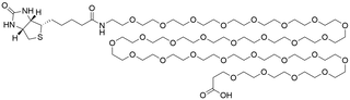 Biotin-PEG28-Acid