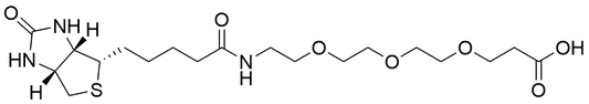 Biotin-PEG3-Acid