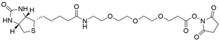 Biotin-PEG3-NHS Ester