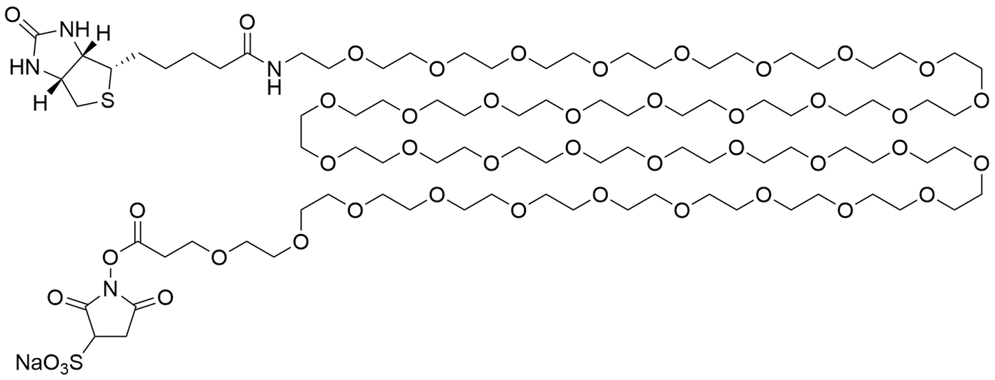 Biotin-PEG36-Sulfo NHS Ester