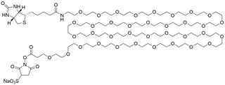 Biotin-PEG36-Sulfo NHS Ester