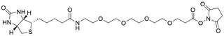 Biotin-PEG4-NHS Ester