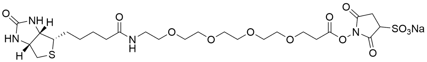 Biotin-PEG4-Sulfo NHS Ester