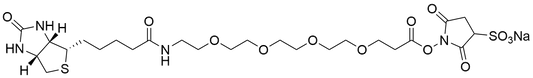 Biotin-PEG4-Sulfo NHS Ester