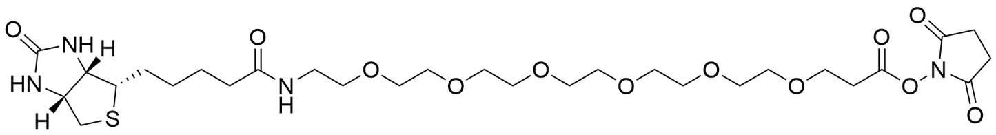 Biotin-PEG6-NHS Ester