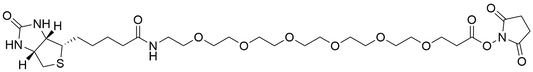 Biotin-PEG6-NHS Ester