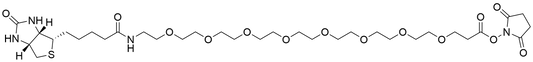 Biotin-PEG8-NHS Ester