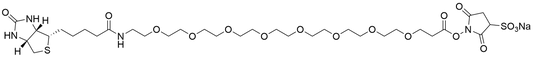 Biotin-PEG8-Sulfo NHS Ester