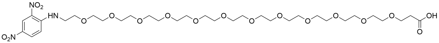 DNP-PEG12-Acid