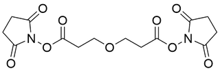 Di-NHS Ester-PEG1