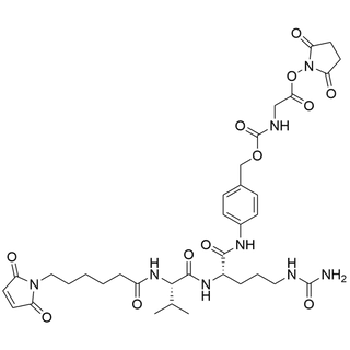 MC-Val-Cit-PAB-Gly-NHS ester