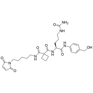 Mal-Amide-cBut-Cit-PAB