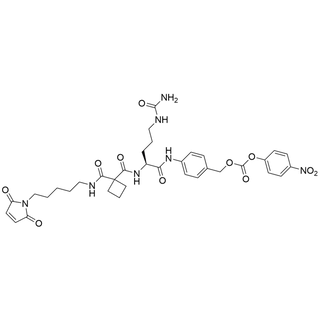 Mal-Amide-cBut-Cit-PAB-PNP