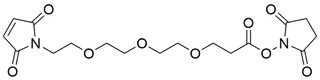 Mal-PEG3-NHS Ester