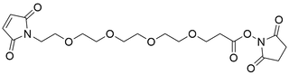 Mal-PEG4-NHS Ester