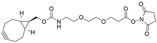 endo BCN-PEG2-NHS Ester