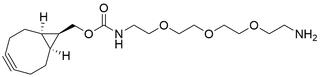 endo BCN-PEG3-Amine