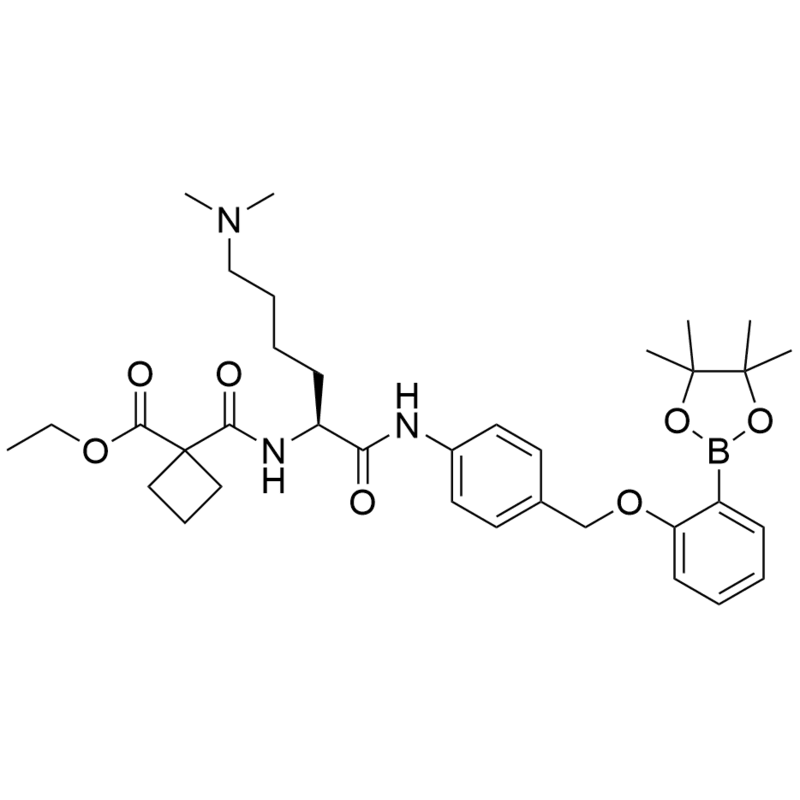 Ethyl-cBut-Lys(dimethyl)-PAB-o-Pinacolphenyl ether