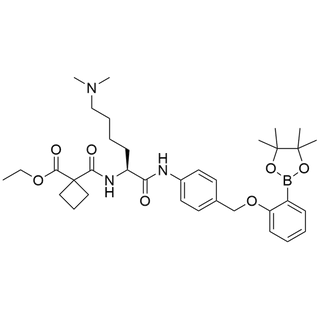 Ethyl-cBut-Lys(dimethyl)-PAB-o-Pinacolphenyl ether