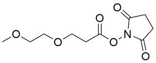 m-PEG1-NHS Ester